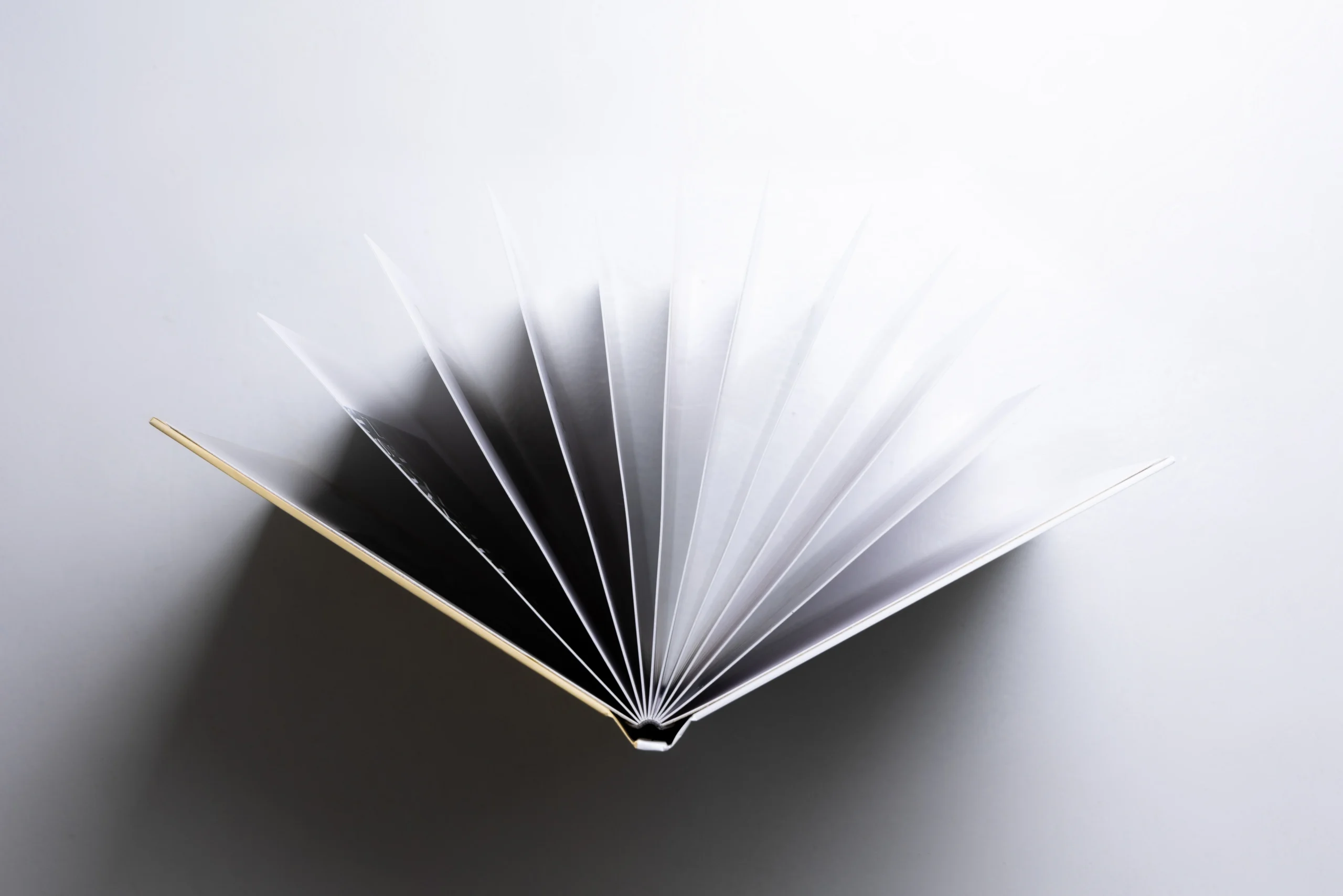 Album Photobook – Xu Hướng Thiết Kế Album Cưới Độc Đáo | HUDU BRIDAL